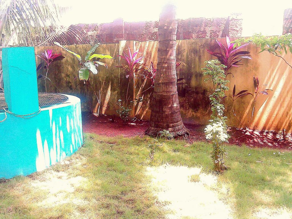 White Pearl Guest House Morjim Extérieur photo